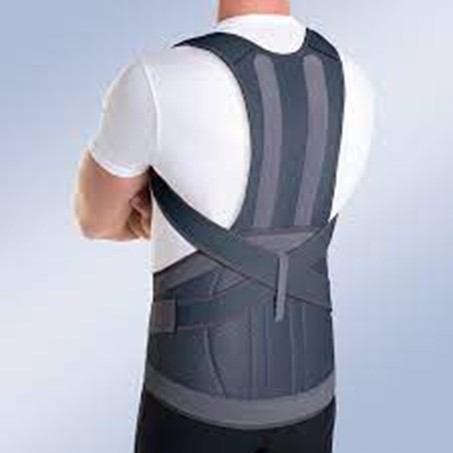 Corsé Toracolumbar Orto Fisio Medical